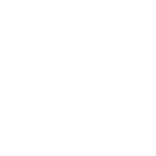 Visage Logo